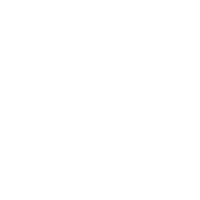 Mold Clean Up and Odor Control