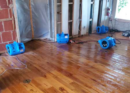 Damage Restoration Services | Water Damage Cleanup Team, Cape Coral, FL